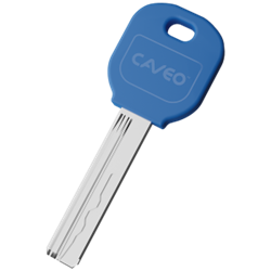 Security key for professional key cutting services